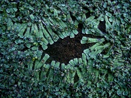 Santisima Trinidad Del Parana (1)